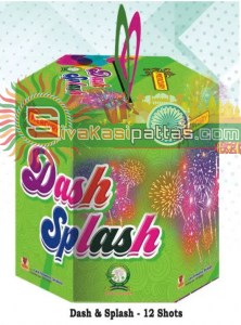 12 dash_amu